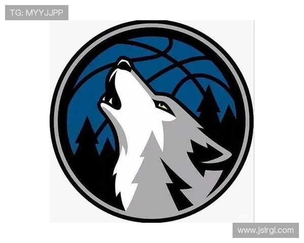 明尼苏达森林狼俱乐部全面发展与未来竞争力战略探析