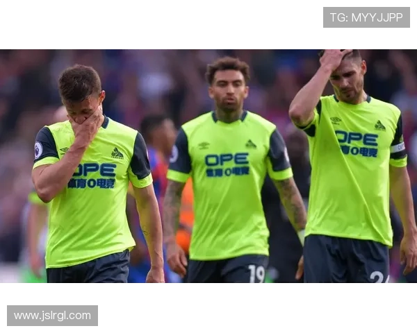 斯旺西俱乐部再度掀起青训改革风暴助力球队重返英超舞台